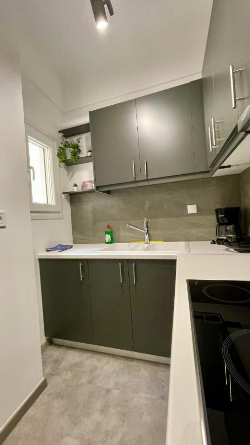 Gorgeous Renovated Apt. Close To Metro And Cultural Sites! Athena Bagian luar foto